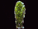 Moldavite